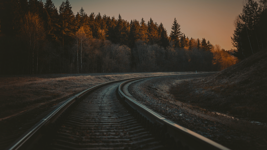 Curved railway track at sunset with pine forest and warm golden light in the background