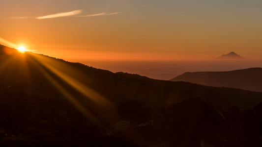 Stop Trying To Control Everything: Why It Guarantees Anxiety (And How To Let Go) | Blog