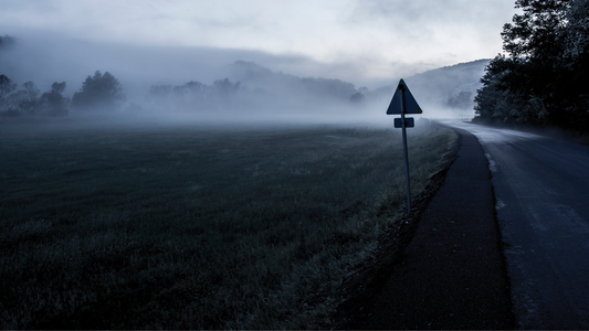 5 Simple Daily Practices To Help You Release Control and Find Peace | Peace Beyond Thought Blog 