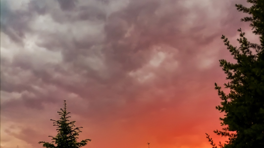 Vibrant sunset sky with dramatic clouds and silhouetted evergreen trees, nature scene