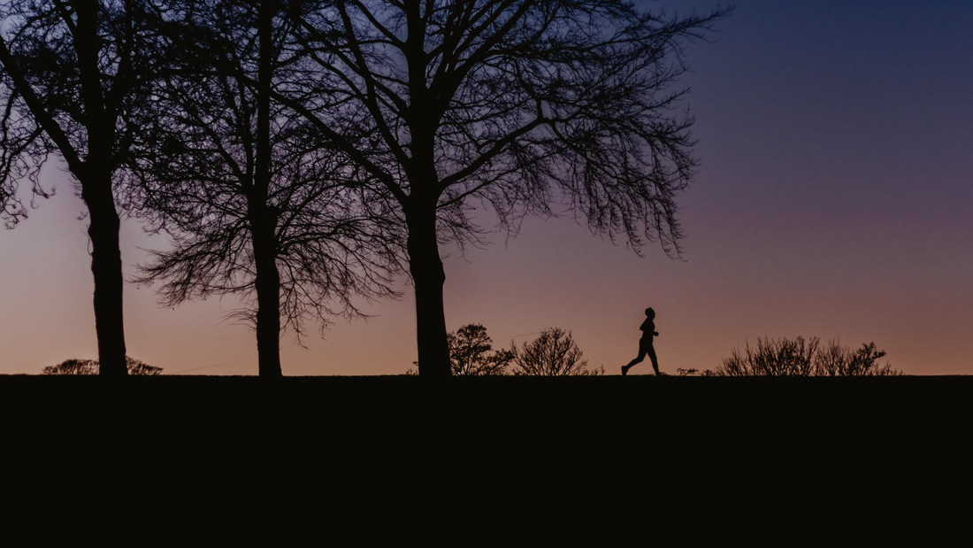 Silhouette of a person jogging under bare trees at sunset in a peaceful outdoor setting