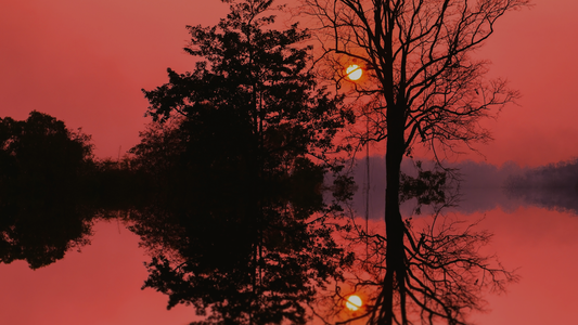 Peaceful lake sunset with tree silhouettes and calm water reflection, red sky background