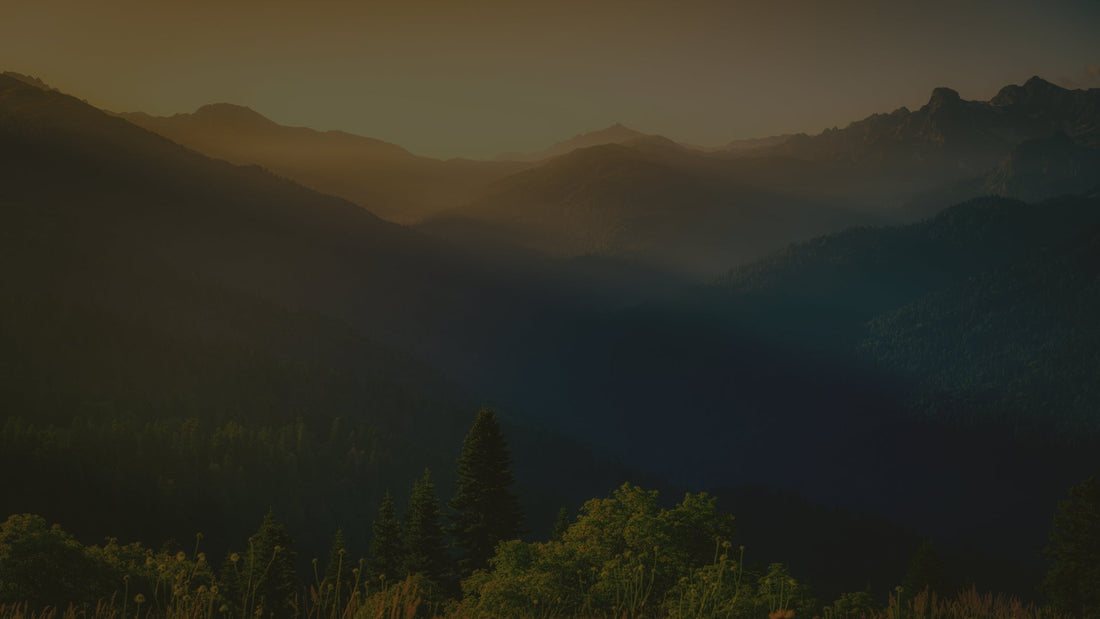 Sunrise over misty mountain landscape with forest, evoking peace and spiritual renewal