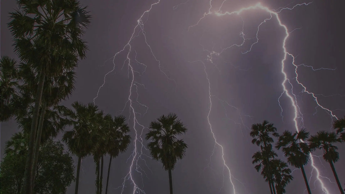 Dramatic lightning bolts striking above silhouetted palm trees at night, inspiring nature storm