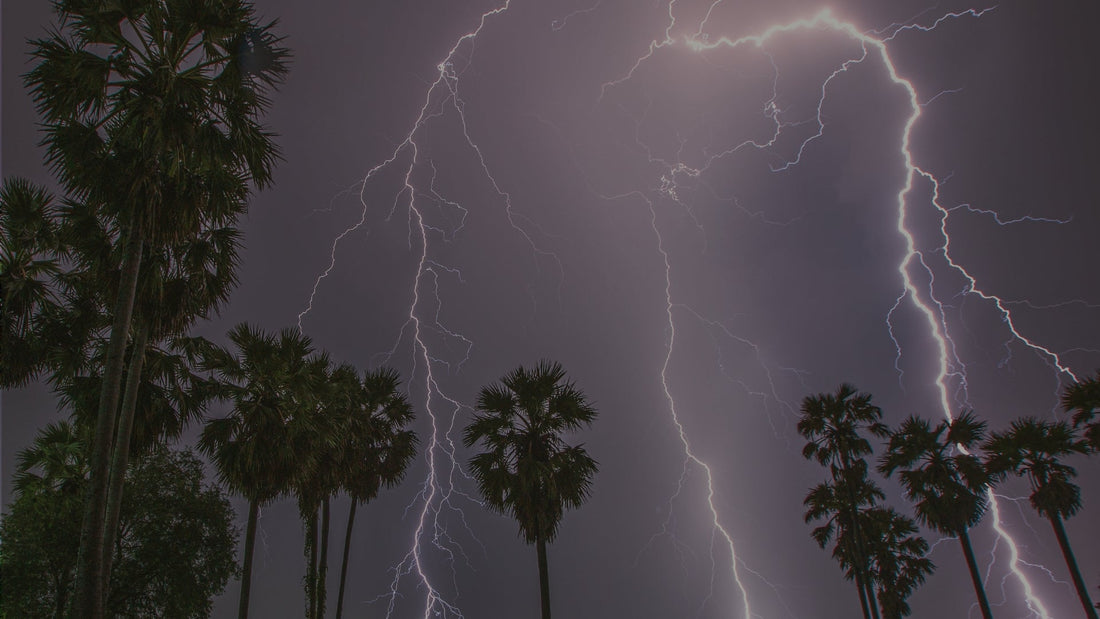 Dramatic lightning bolts striking above silhouetted palm trees at night, inspiring nature storm