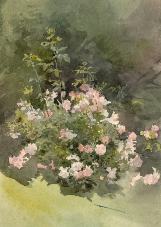 A watercolor painting of a rose bush with pink flowers.