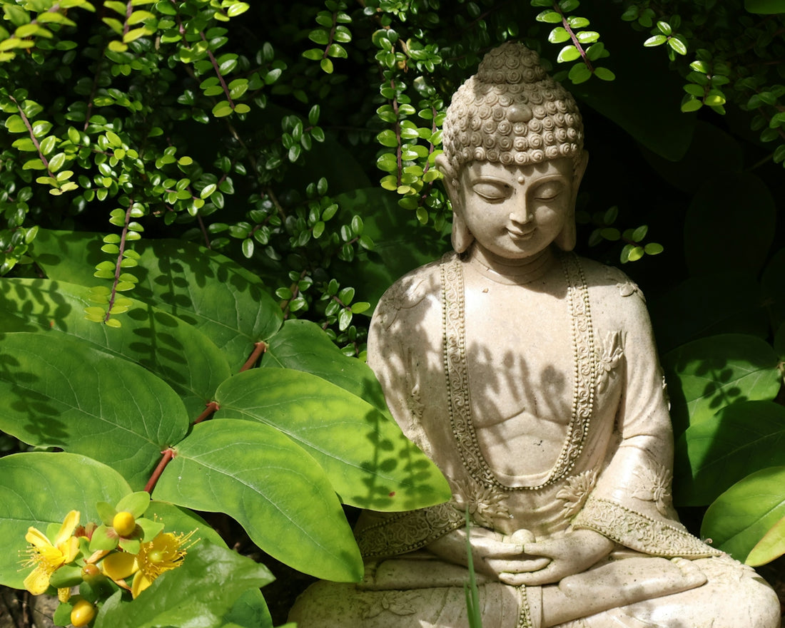 A buddha statue sits peacefully among lush green plants