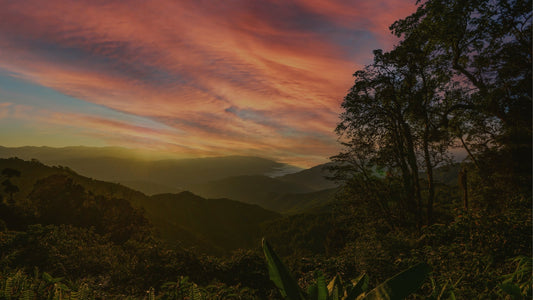 Serene mountain landscape at sunrise with colorful clouds and silhouetted trees