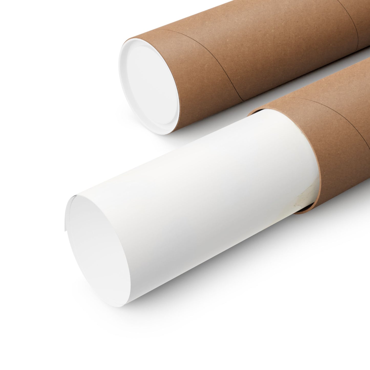 Rolled blank poster in a brown cardboard mailing tube on white background