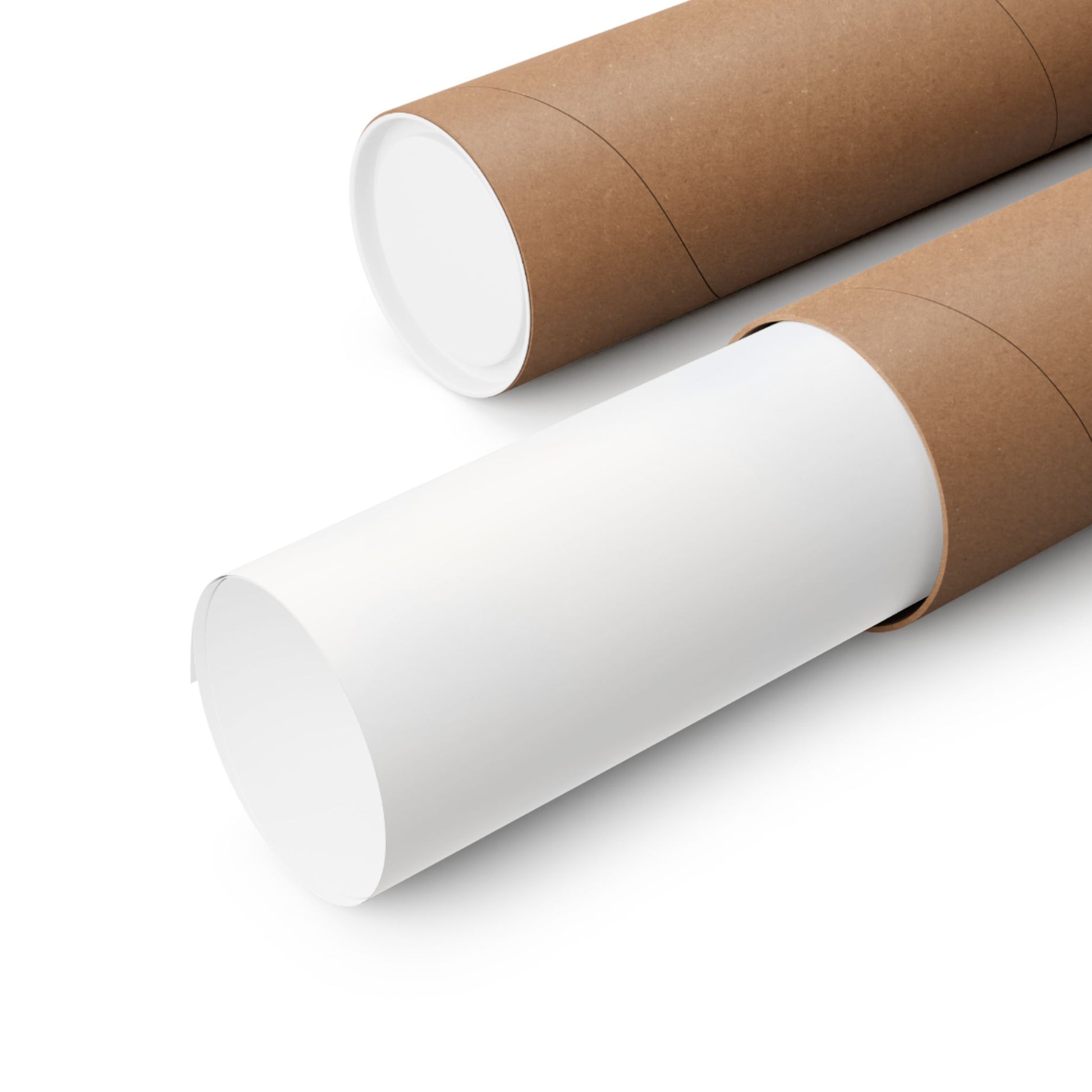 Blank poster rolled in kraft paper shipping tube on white background, wall art packaging