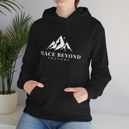 Black hoodie with mountain graphic and text Peace Beyond Thought, worn indoors near a plant