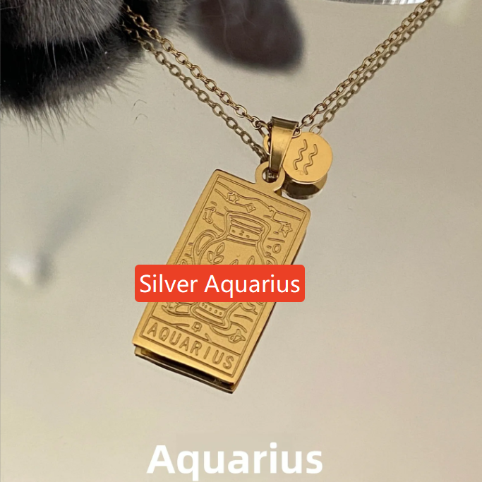 Zodiac Titanium Steel Clavicle Necklace – product view 18