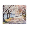 Cherry Blossom Path Puzzle | Scenic Spring Jigsaw Puzzle